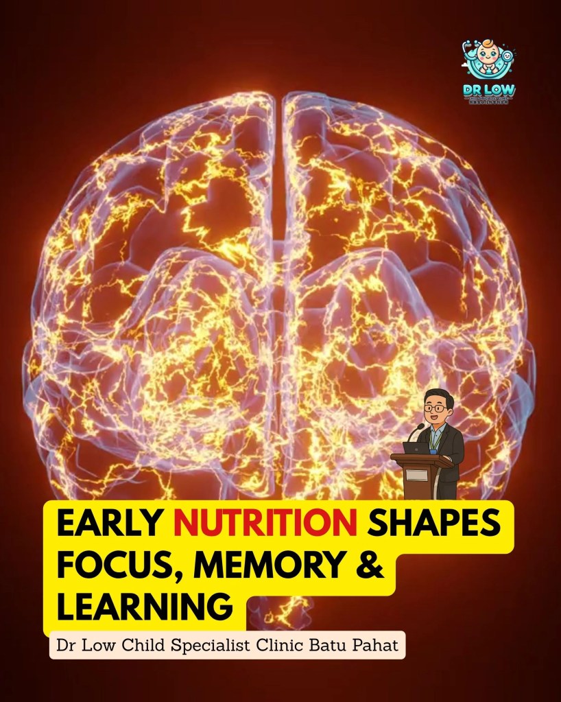 Dr Low Han Nee – Nutrition and Brain Development Talk in Johor Bahru - Child Specialist Batu Pahat Johor Malaysia - Child Doctor BP 03
