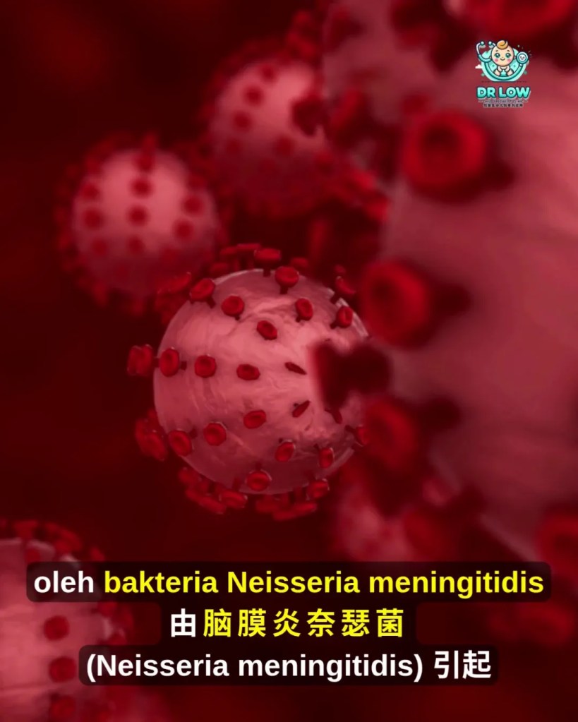 Jangkitan Meningokokal Kanak-Kanak Batu Pahat - Klinik Pakar Kanak-kanak Batu Pahat Dr Low - Dr Low Child Specialist Clinic Batu Pahat BP Johor Malaysia A08